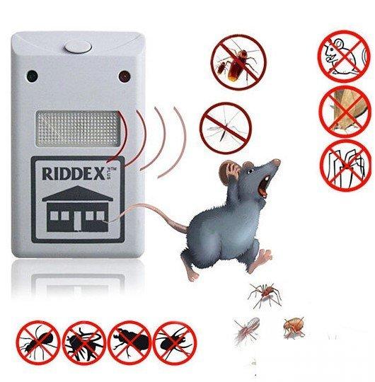 Ridex plus